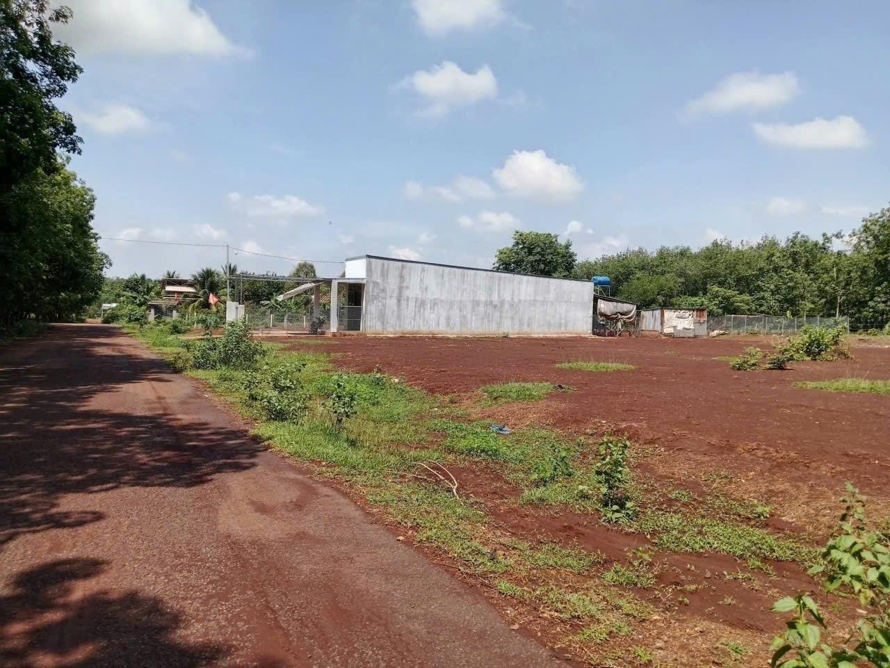 Chuyển nhượng lô đất sổ riêng 250 m2 tại Phước An - Hớn Quản - Bình Phước, giá 480 triệu