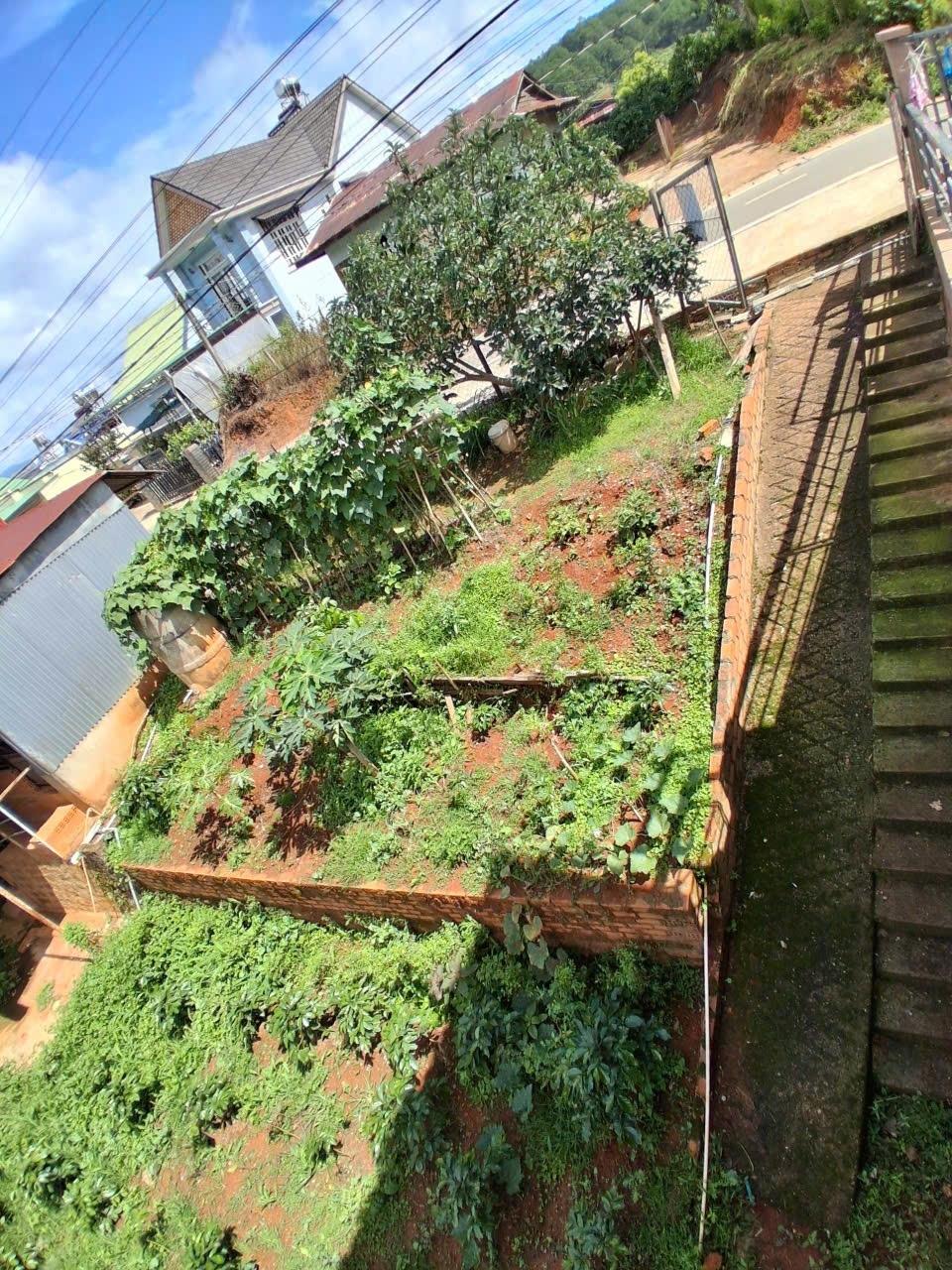 Cần bán gấp bán nhanh miếng đất 240 m2, hướng Bắc tại Xuân Trường - Đà Lạt - Lâm Đồng, giá 3 tỷ