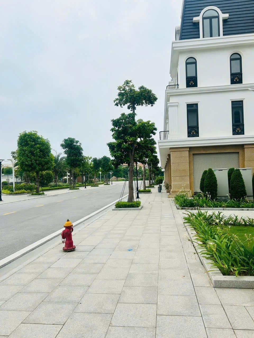 Cần bán gấp bán nhanh nhà mặt phố đẹp 77 m2, hướng Bắc tại Xã Tân Dương - Thủy Nguyên, giá 10 tỷ