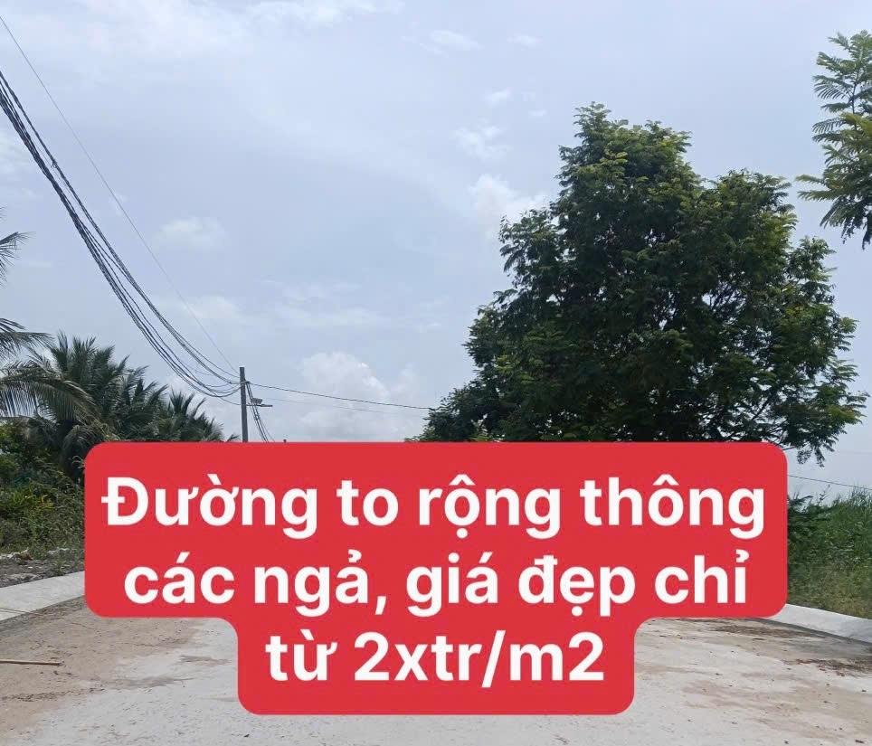 Bán gấp đất nền 187 m2 tại Xã Hựu Thạnh - Đức Hòa - Long An, giá tốt