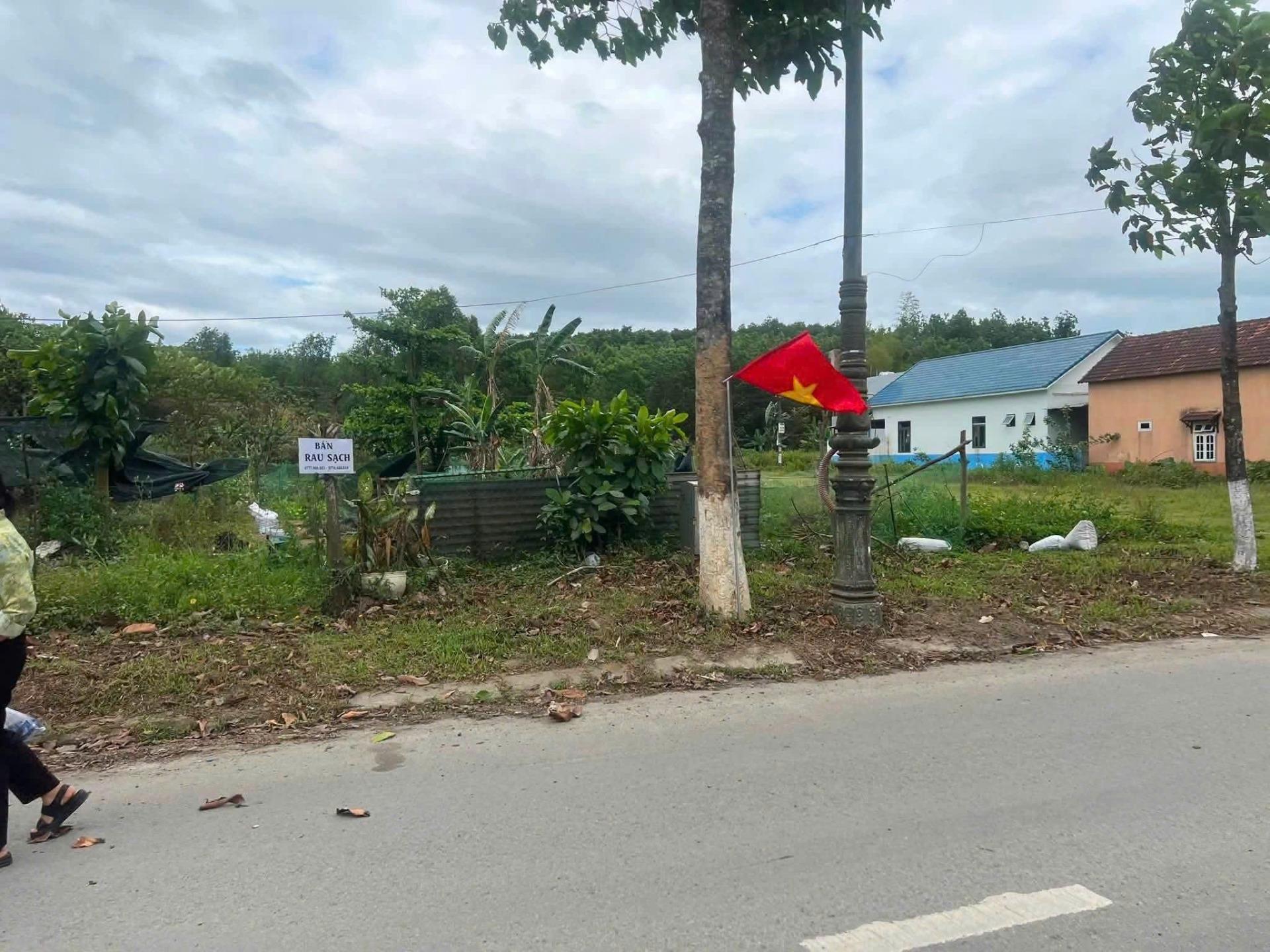 Chuyển nhượng lô đất 100 m2, hướng Nam tại Hòa Ninh - Hòa Vang - Đà Nẵng, giá 2,65 tỷ
