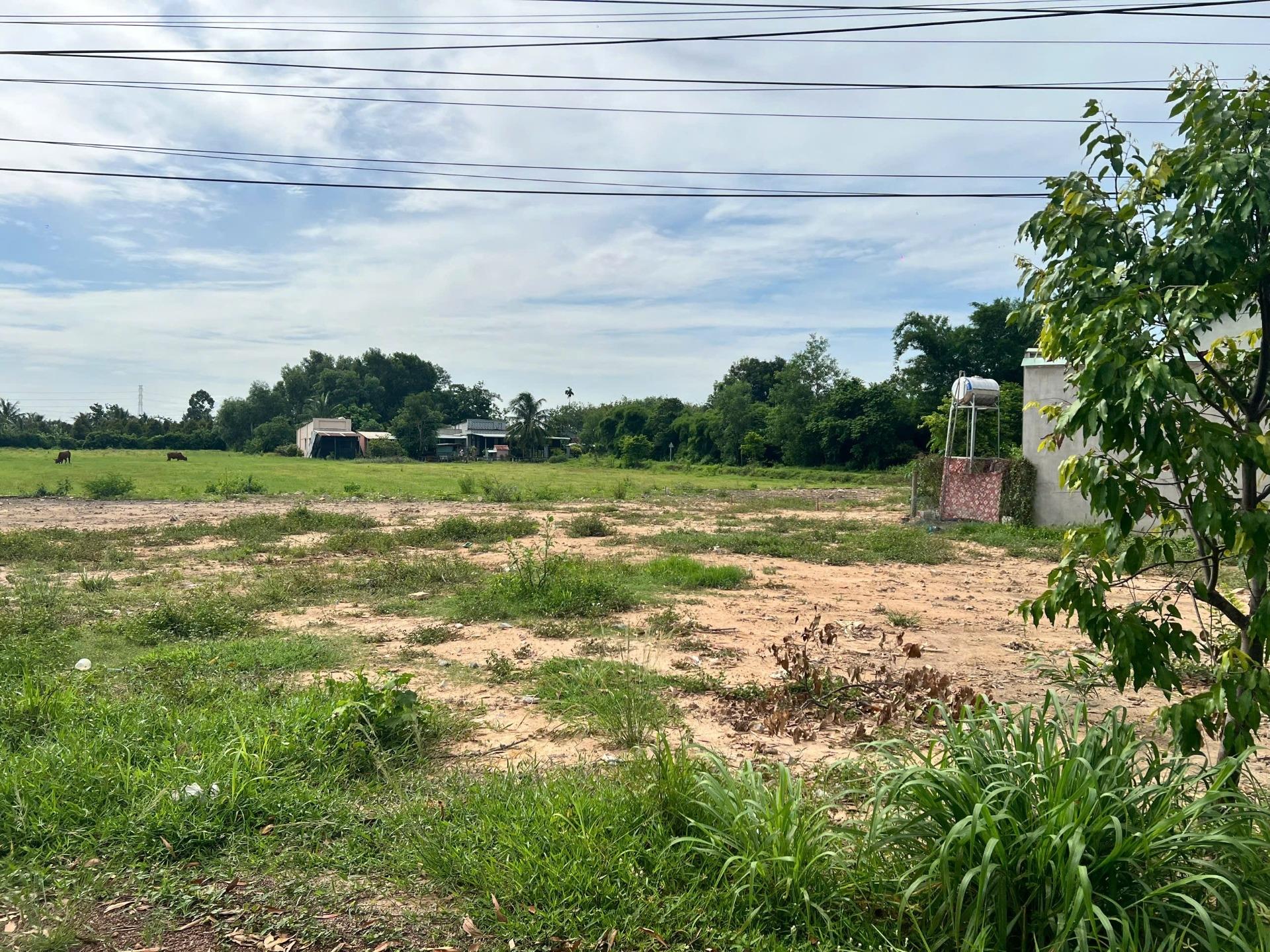 Cần bán lô đất nền 156,89999389648438 m2, hướng Tây tại Gò Dầu - Tây Ninh, thỏa thuận