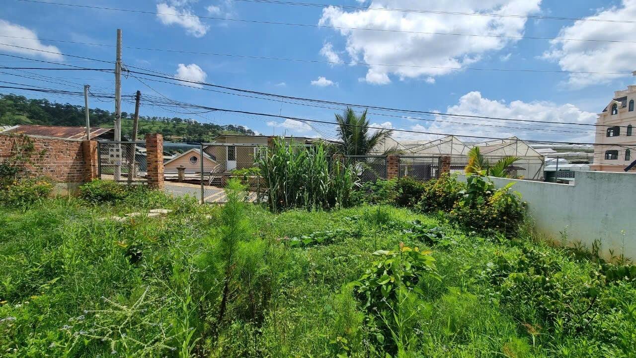 Bán gấp lô đất nền 250 m2, hướng Đông-Bắc tại Đường Đa Phú - 7 - Đà Lạt - Lâm Đồng, giá 6,99 tỷ