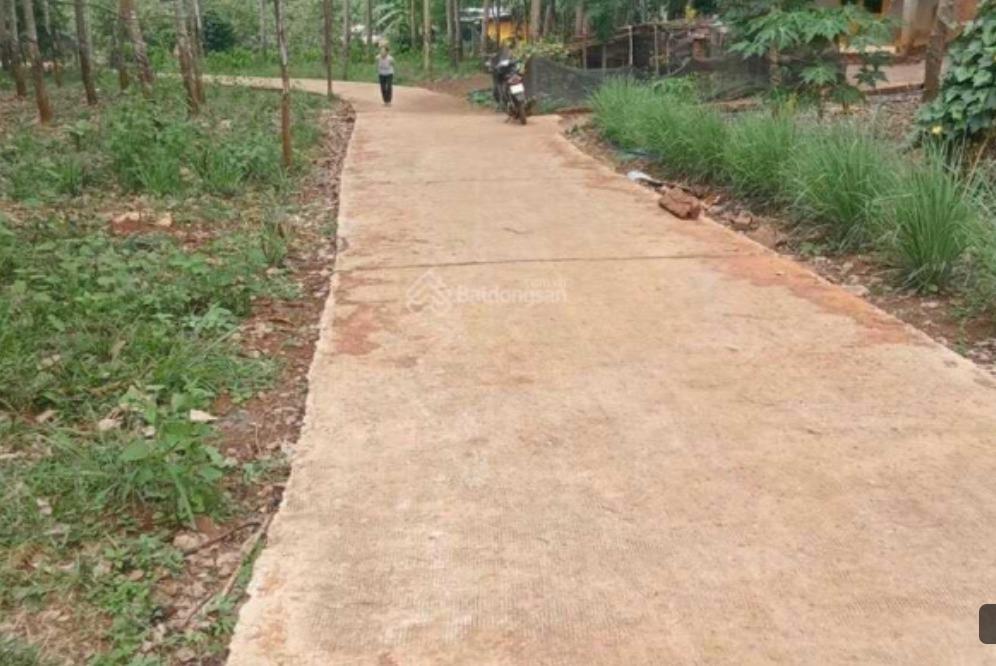 Sở hữu lô đất sổ riêng 1000 m2 tại Xã Tân Lợi - Hớn Quản - Bình Phước, giá tốt