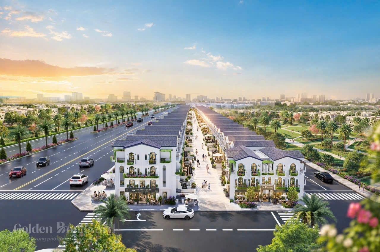 Cần bán gấp bán nhanh căn shophouse 125 m2, giá 4 tỷ tại Đường Lê Lợi - Thủ Dầu Một - Bình Dương