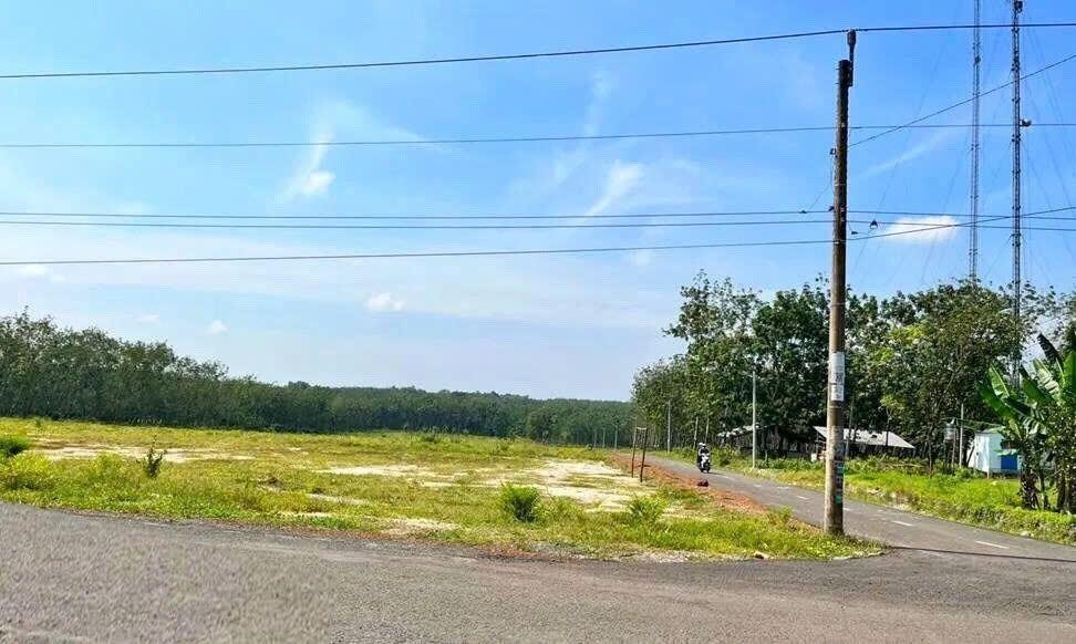 Cần bán đất 1000 m2 tại Huyện Chơn Thành - Bình Phước, giá 370 tr