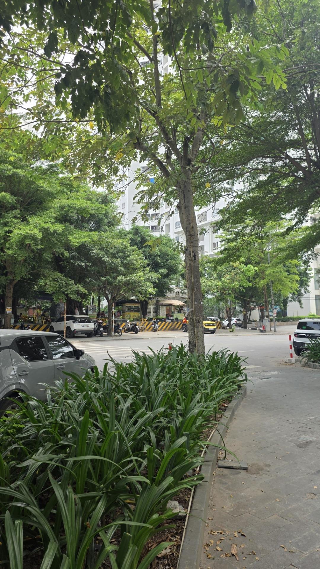 Cho Thuê Nguyên Sàn 351,8M² – Tecco Skyville, Tứ Hiệp