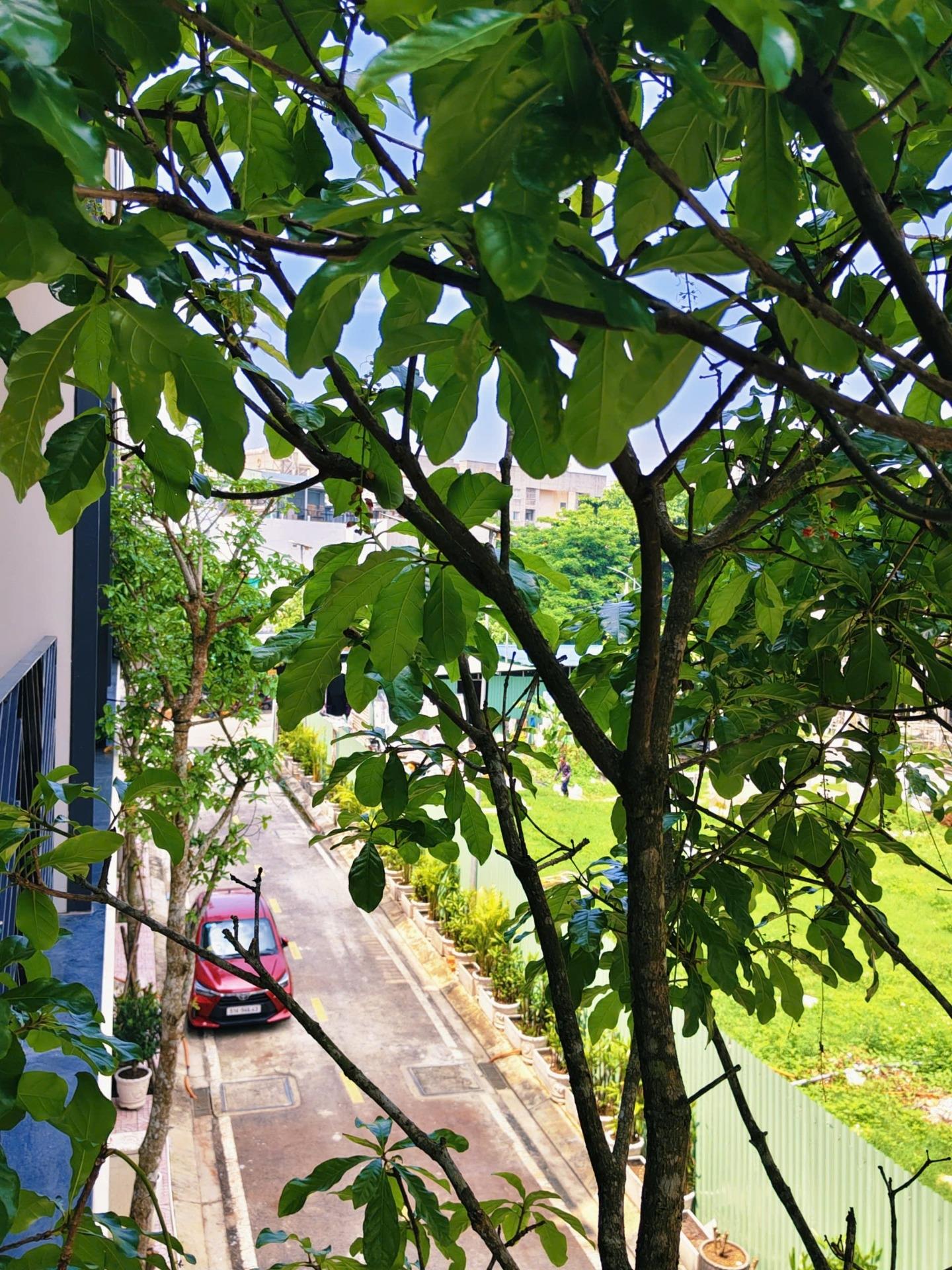 Chuyển nhượng căn shophouse 64 m2, giá 9,1 tỷ tại Phường An Lạc - Bình Tân - TP Hồ Chí Minh