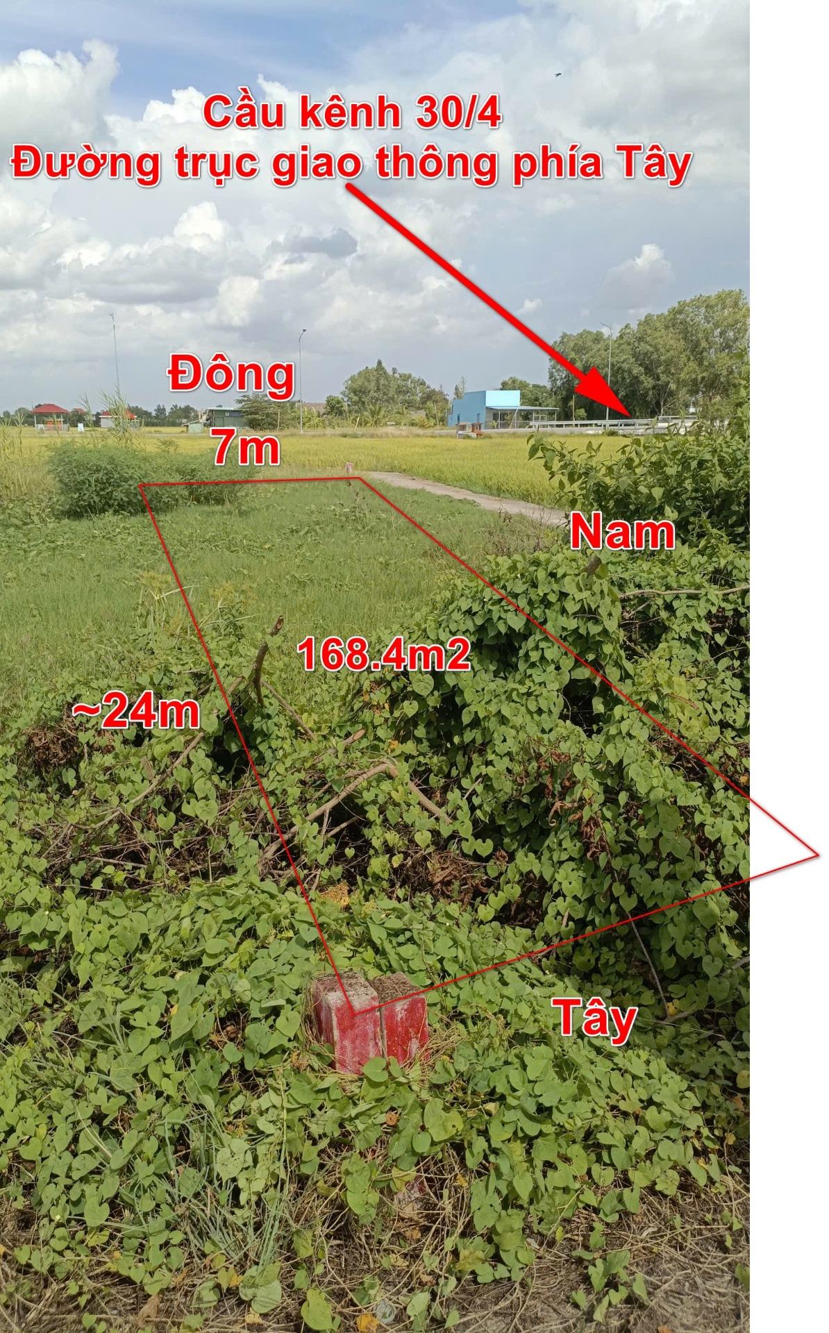 Bán lô đất 168,39999389648438 m2, hướng Tây tại Xã Tân Ân - Cần Đước - Long An, giá 950 triệu