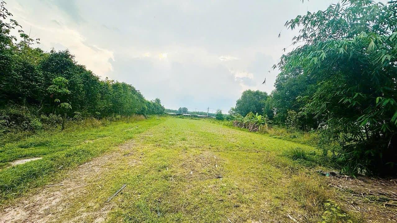 Cần bán gấp bán nhanh lô đất nền 4987 m2 tại An Nhơn Tây - Củ Chi - TP Hồ Chí Minh, giá 6,2 tỷ