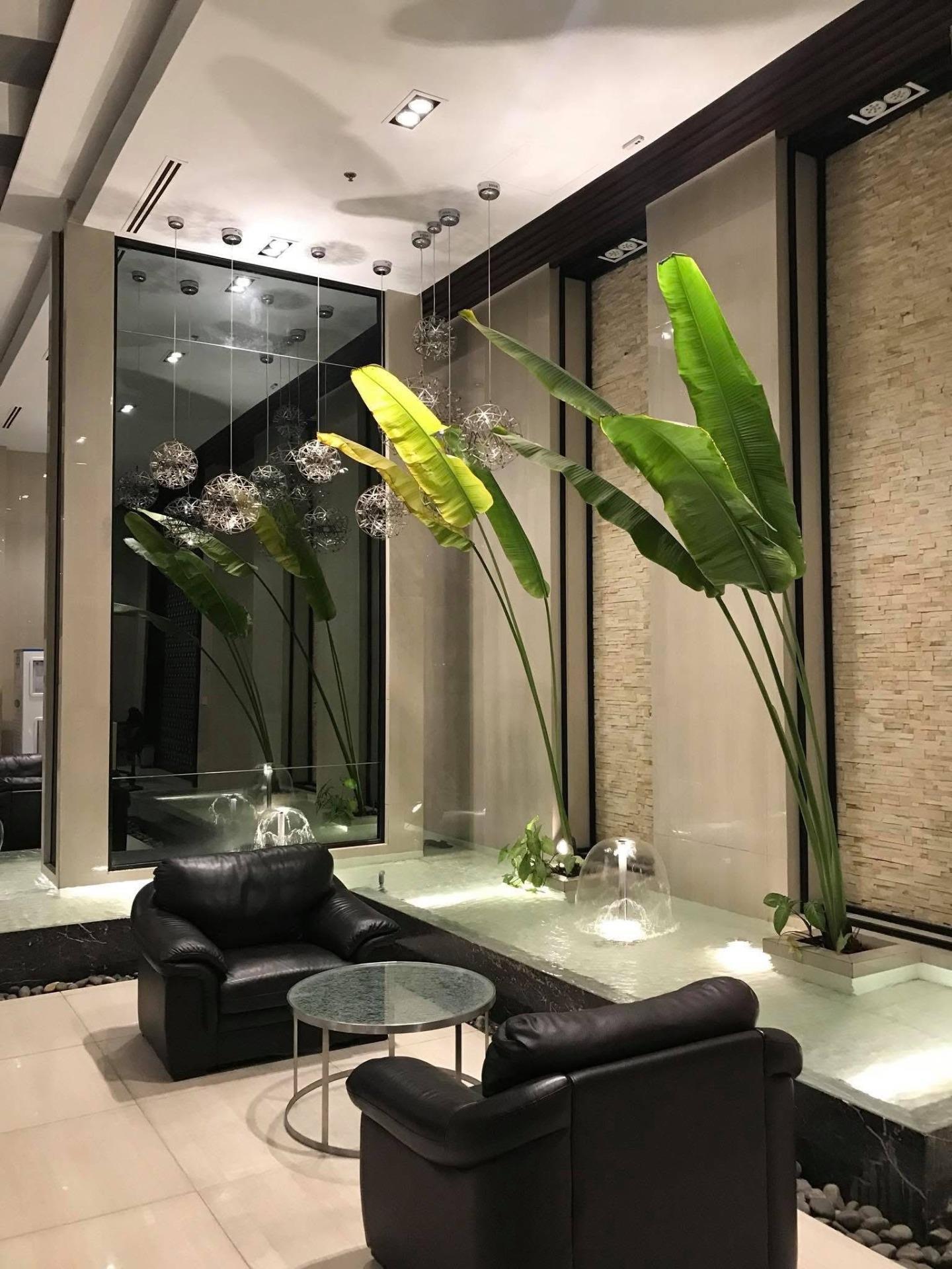 Cho thuê căn 50 m2 tại Đường Tân Kỳ Tân Quý - Tân Phú - TP Hồ Chí Minh, giá 9 tr/tháng