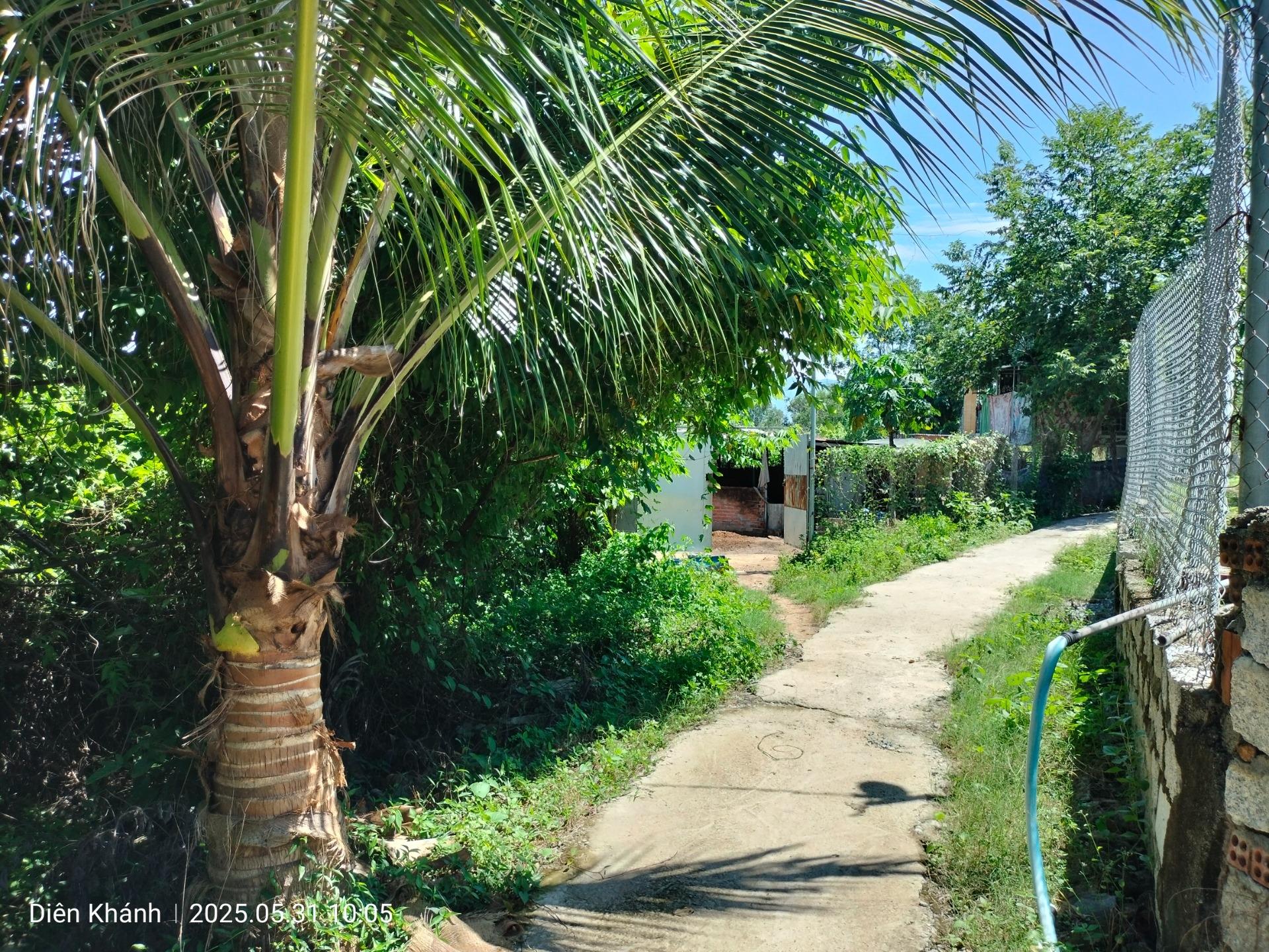 Chuyển nhượng miếng đất 800 m2, hướng Đông tại Suối Hiệp - Diên Khánh - Khánh Hòa, giá rẻ