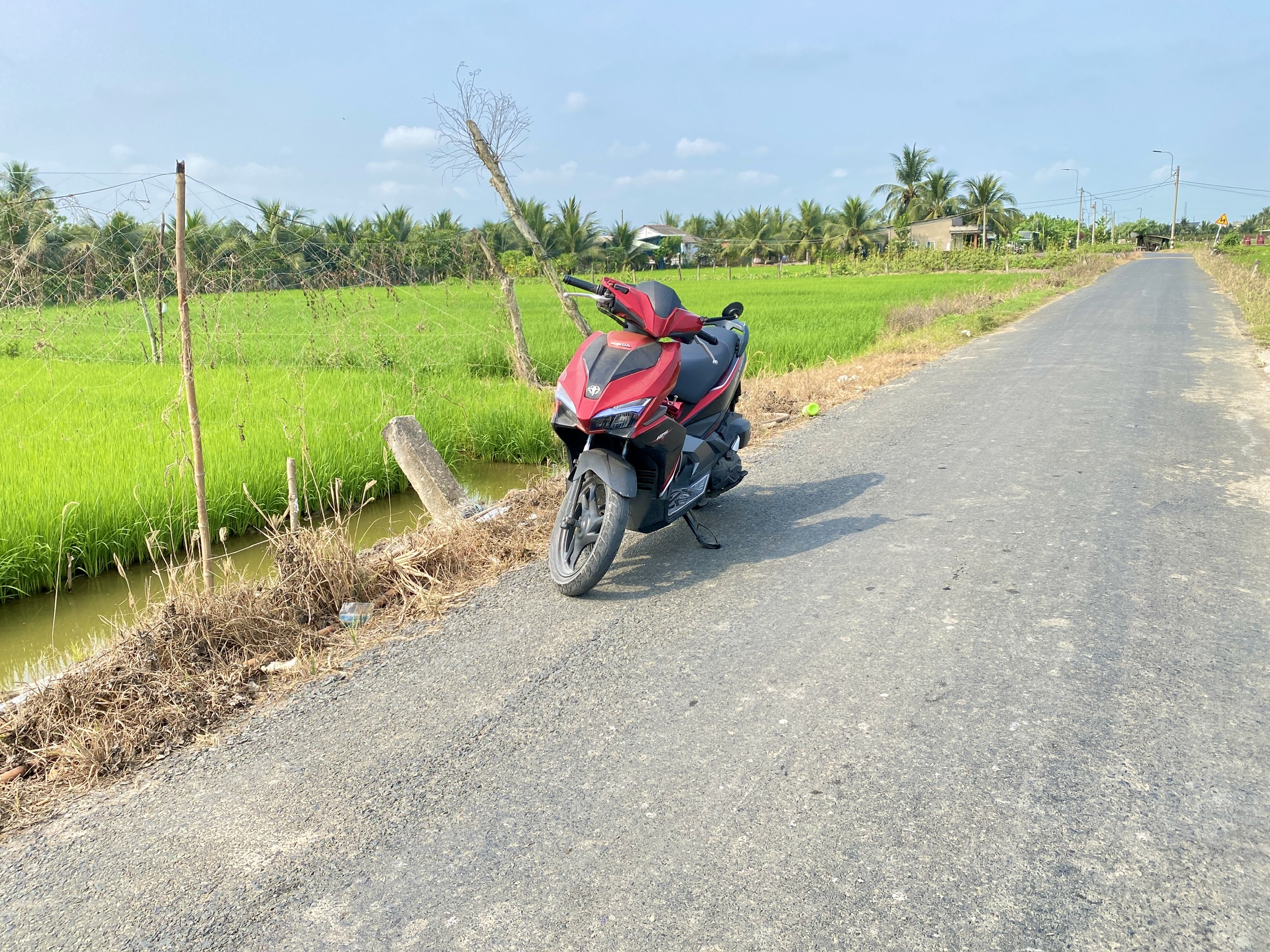 Bán 3510m² Lúa (có 255m² thổ) mặt tiền đường Đăng Mỹ, Giá 9,15 tỷ - xã Nhựt Chánh, Bến Lức, LA